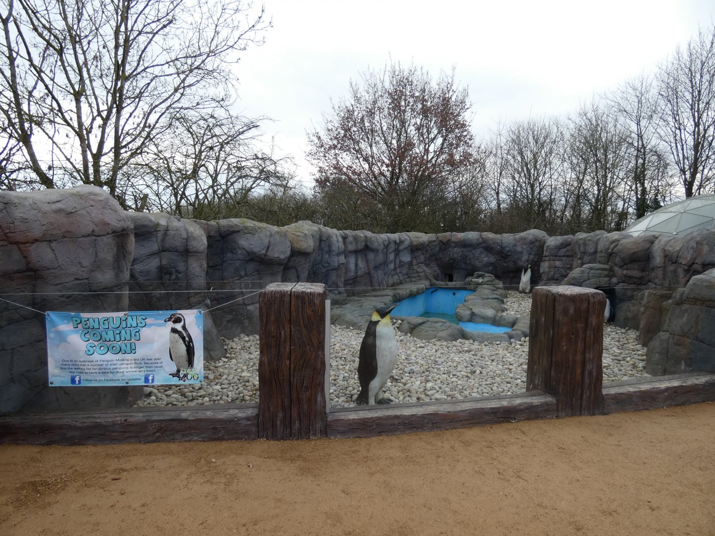 Future Penguin enclosure