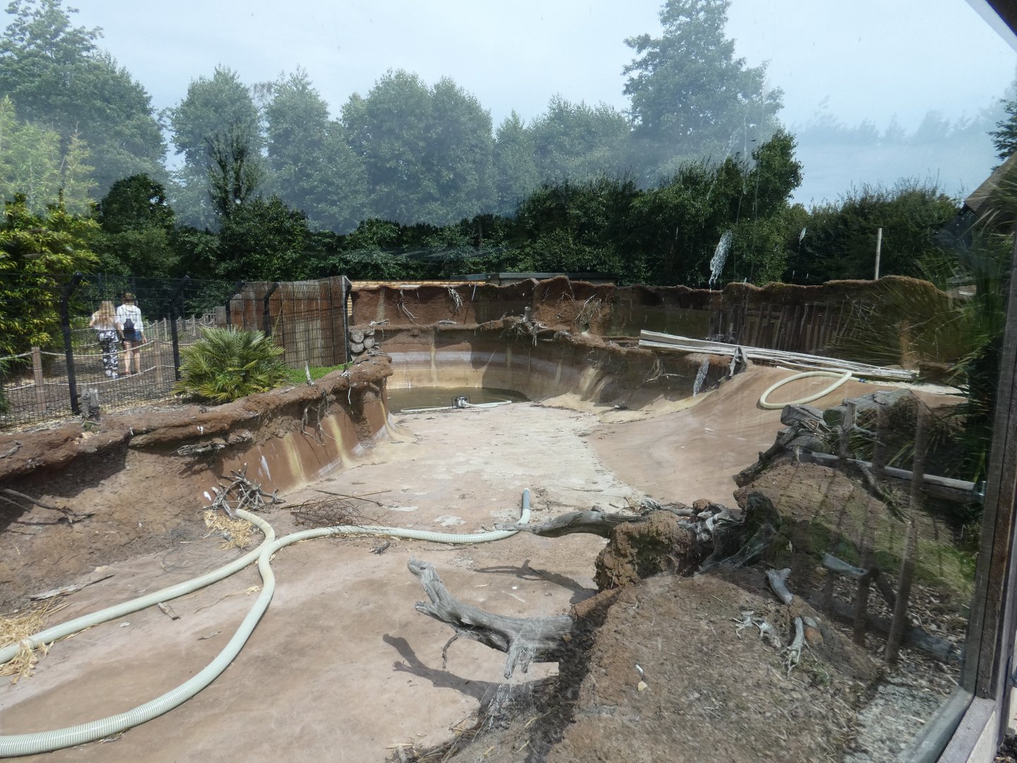 Future Penguin enclosure