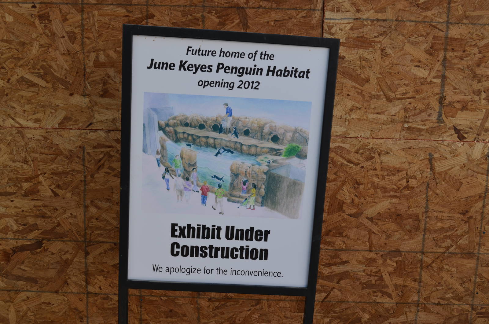 Future Penguin Exhibit Site