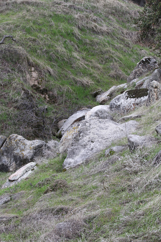 future photo enclosure