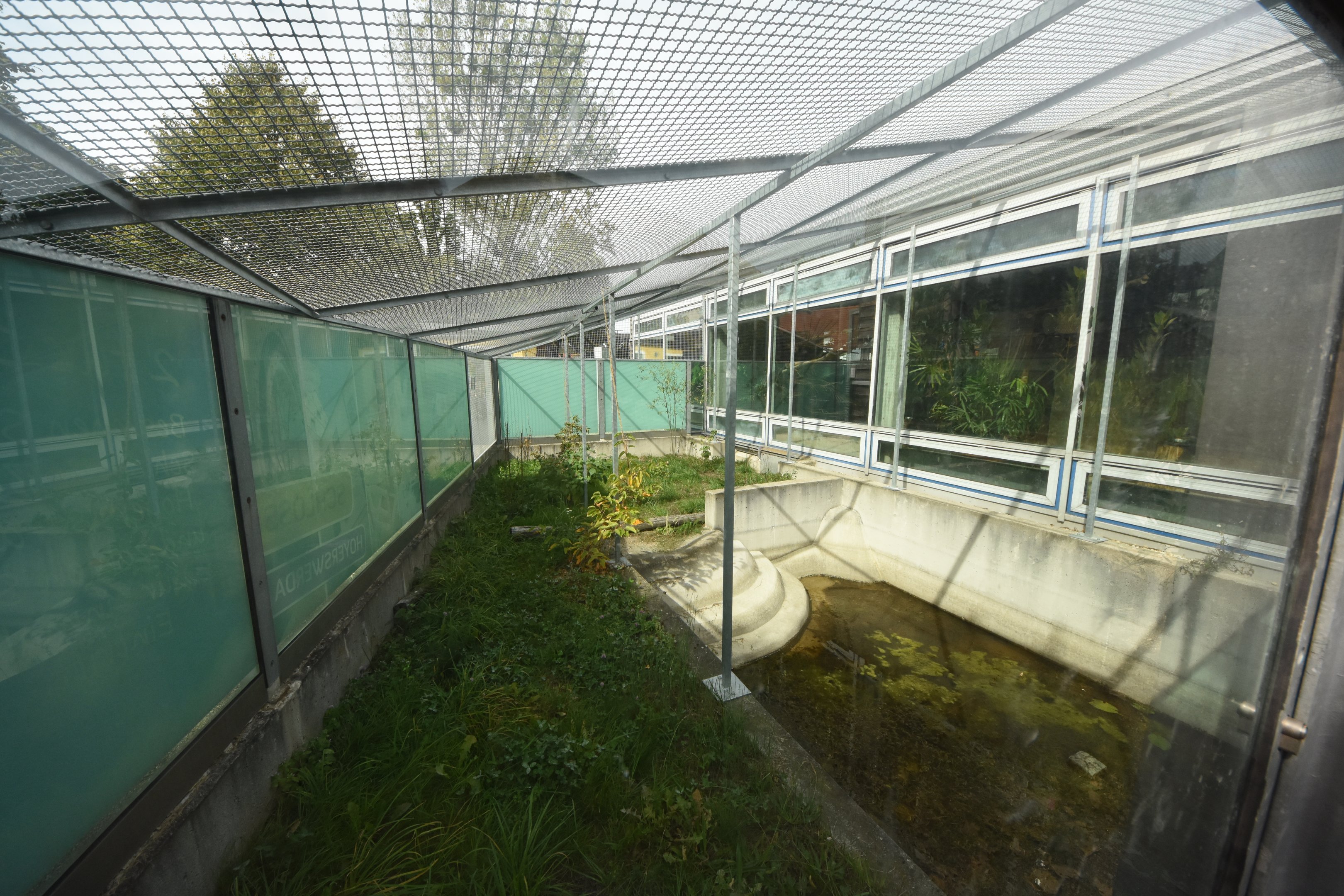 Future Pied hornbill, kanchil & tortoise enclosure