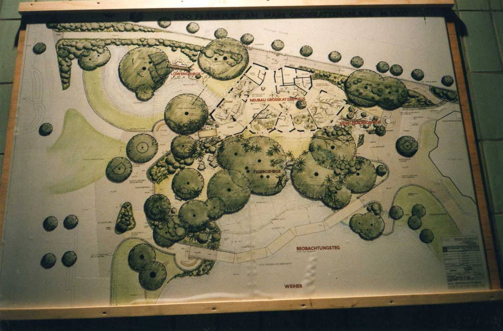 Future plan for the new Cat-Jungle.