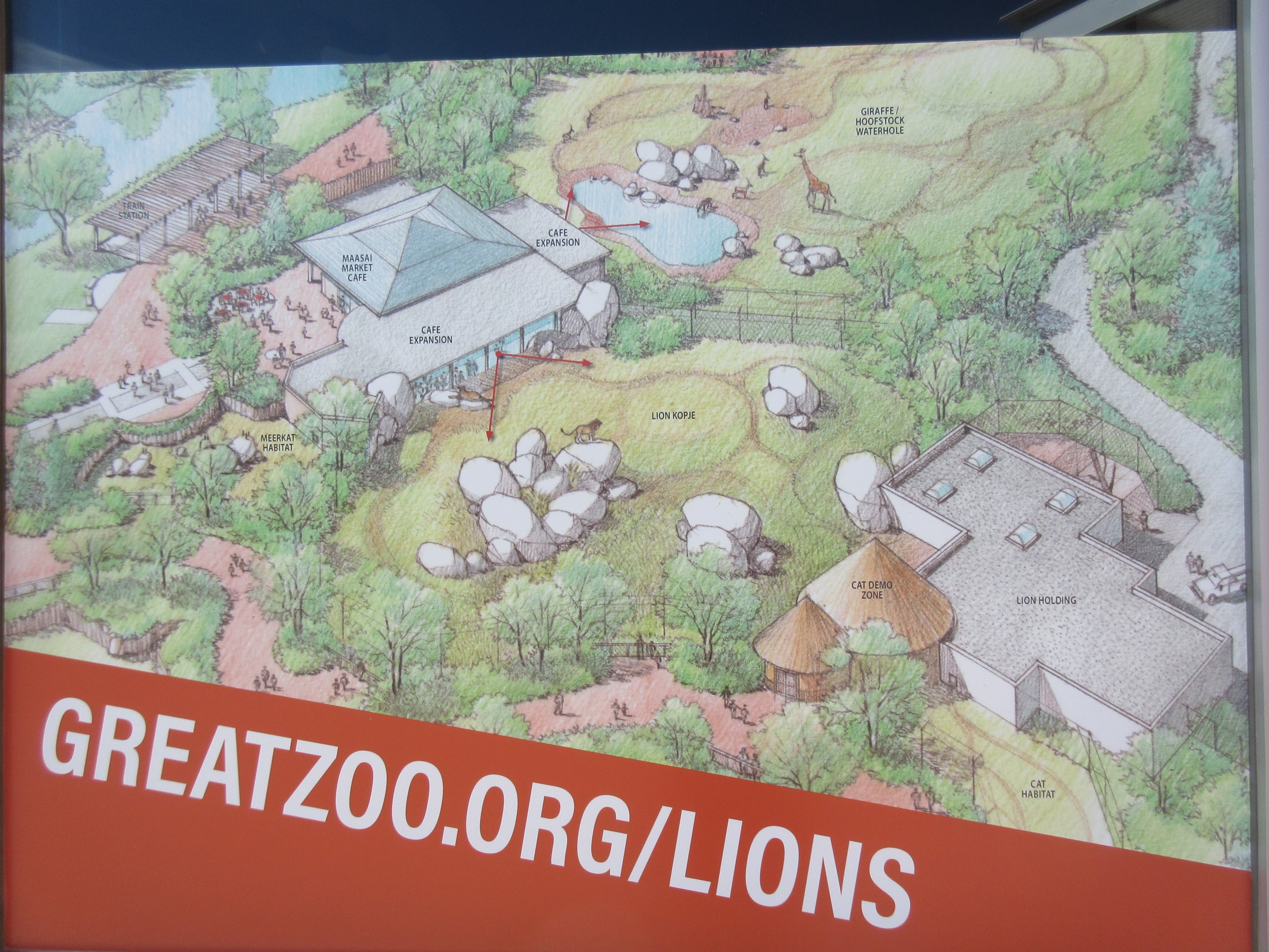 Future Plans - $5 Million Lion Exhibit + Restaurant Expansion