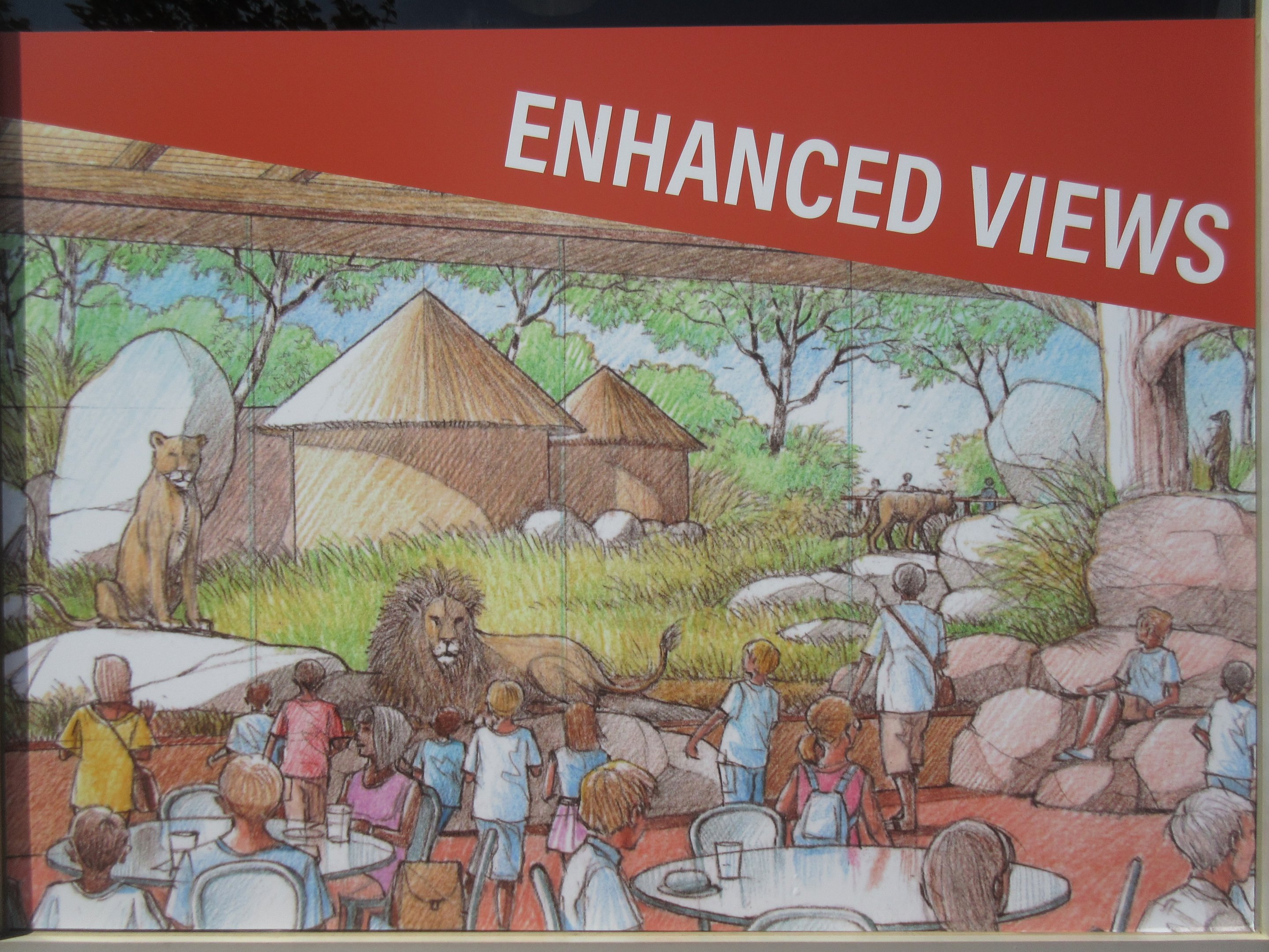 Future Plans - $5 Million Lion Exhibit + Restaurant Expansion