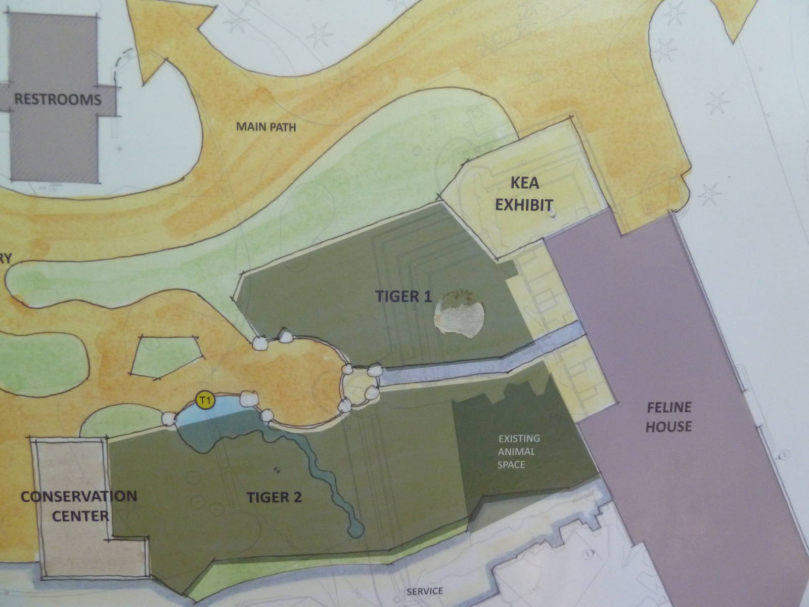 Future Plans - Asian Tropical Forest Close-Up #1