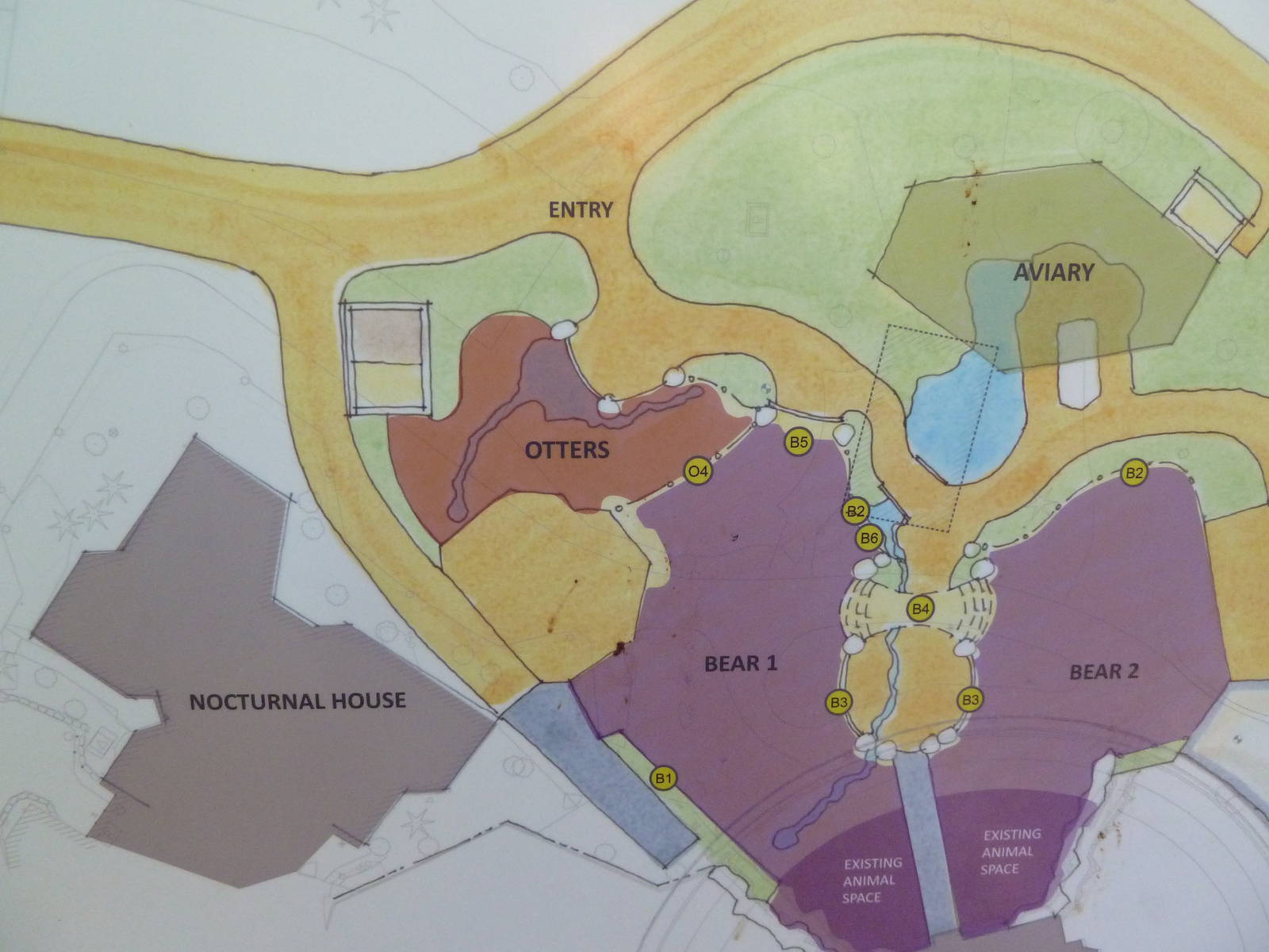 Future Plans  - Asian Tropical Forest Close-Up #2