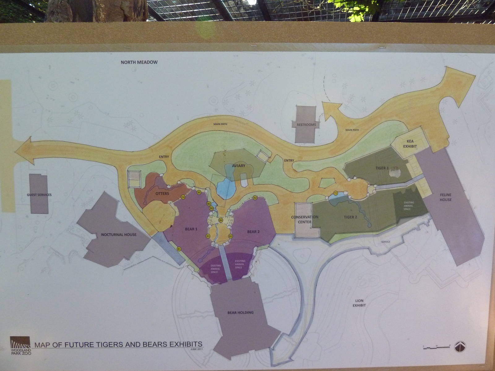 Future Plans - Asian Tropical Forest Overview
