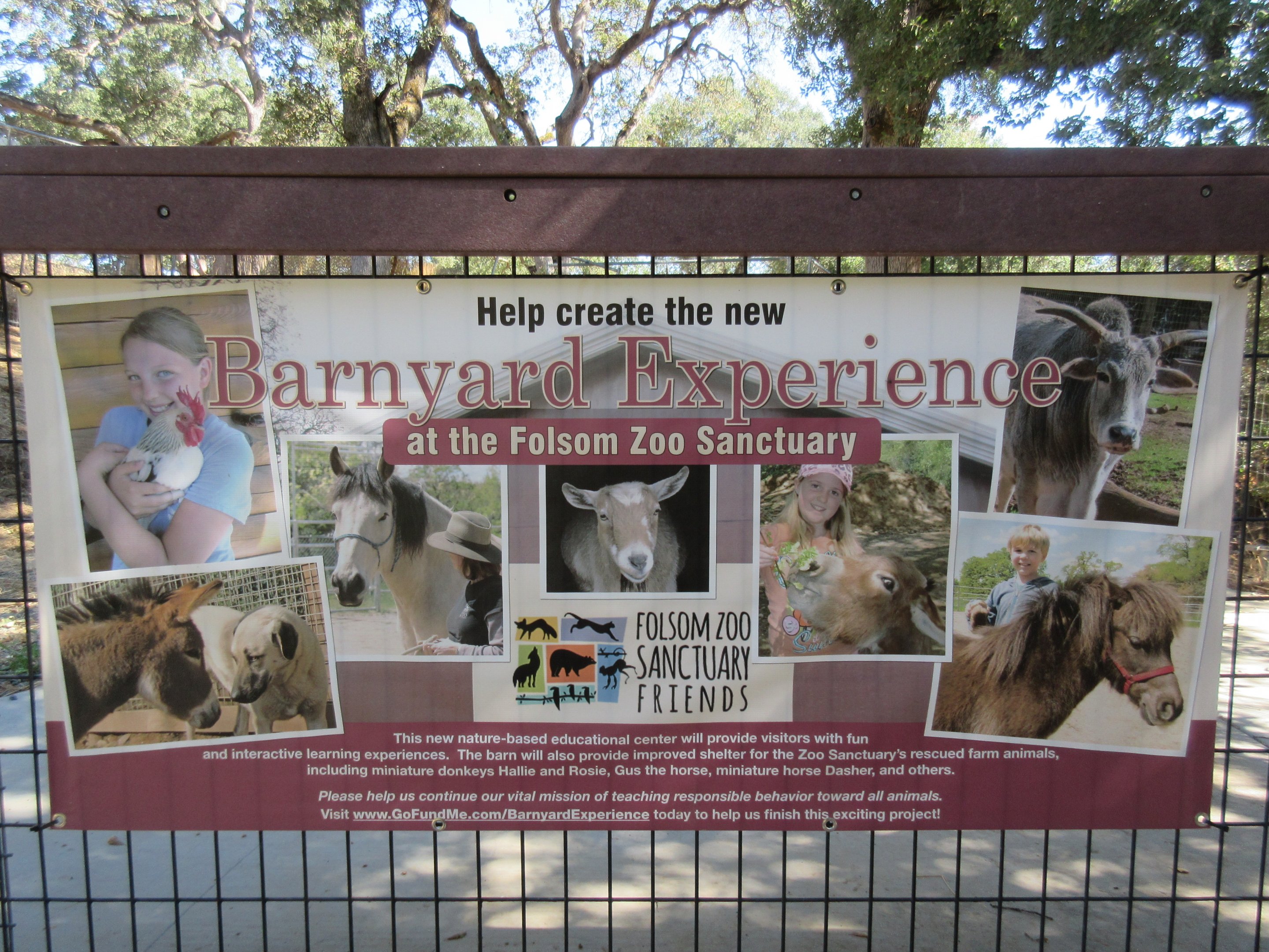 Future Plans - Barnyard Experience