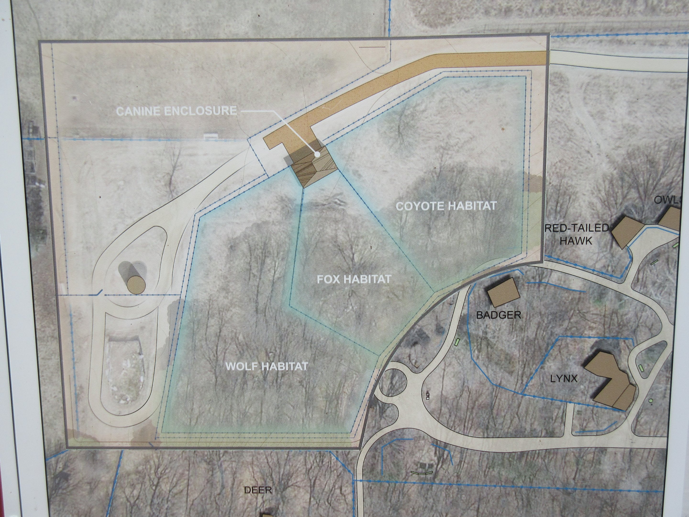 Future Plans - Canids