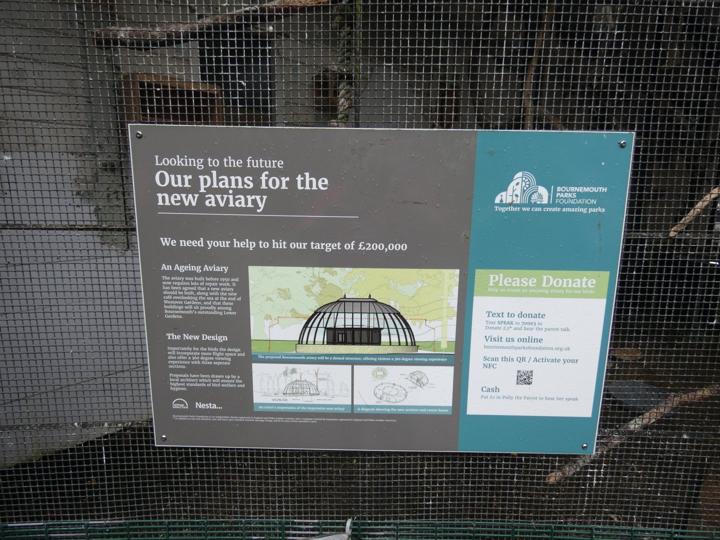Future plans for aviary