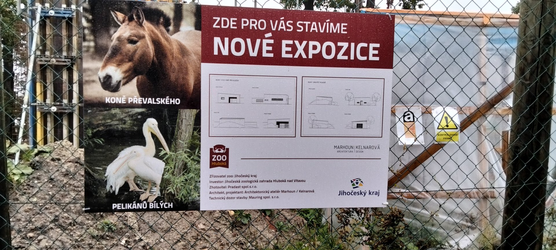 Future plans for Prezewalski's horse and pelicans