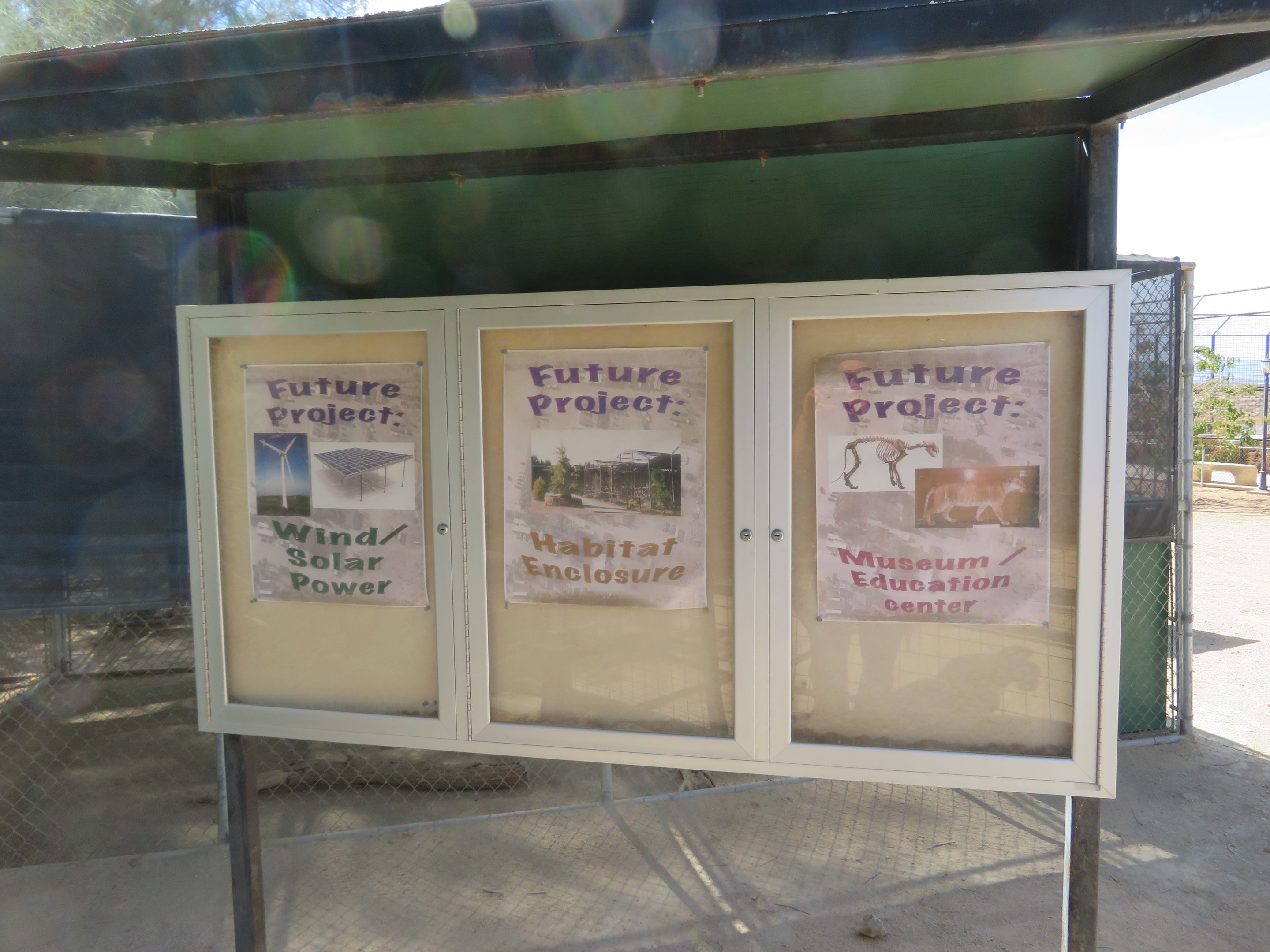 Future Projects (2022)