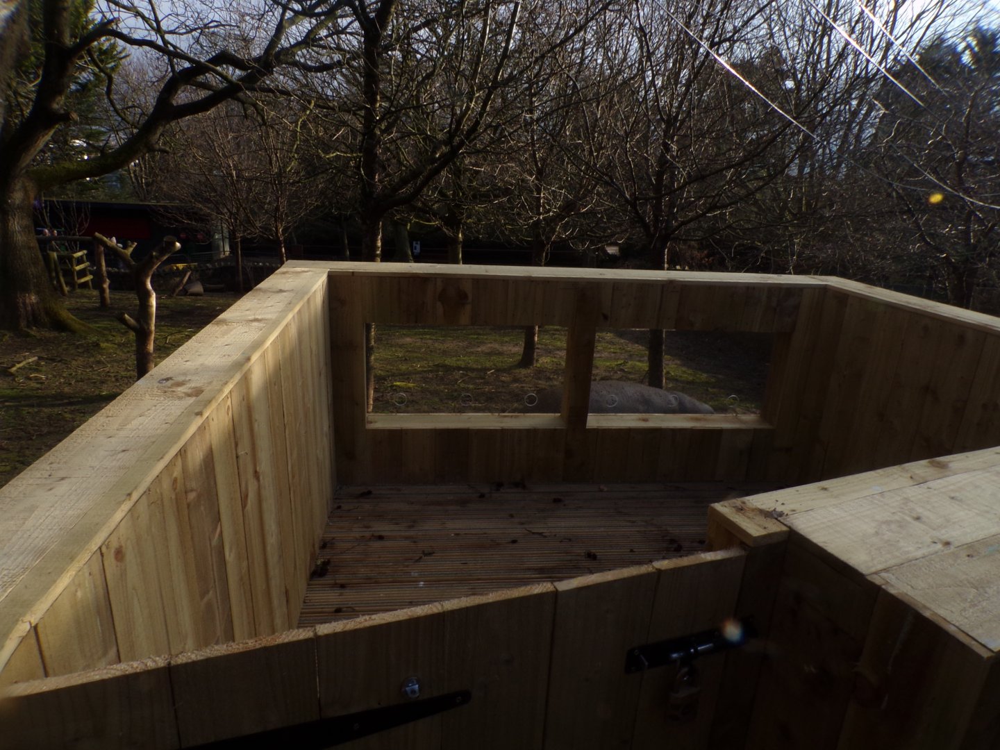 Future pygmy hippo interaction area 1.3.25