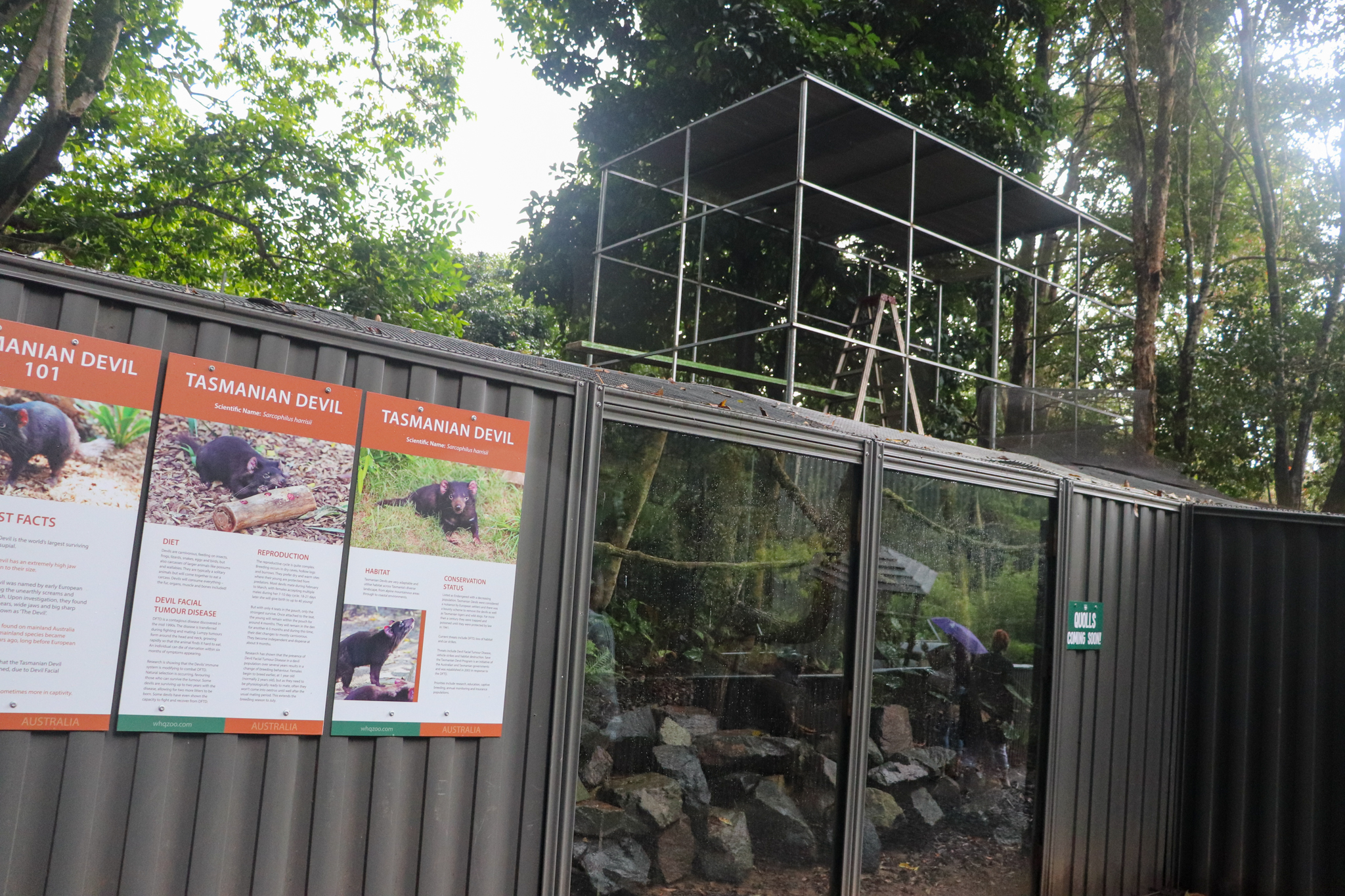 Future Quoll Enclosure - Under Construction