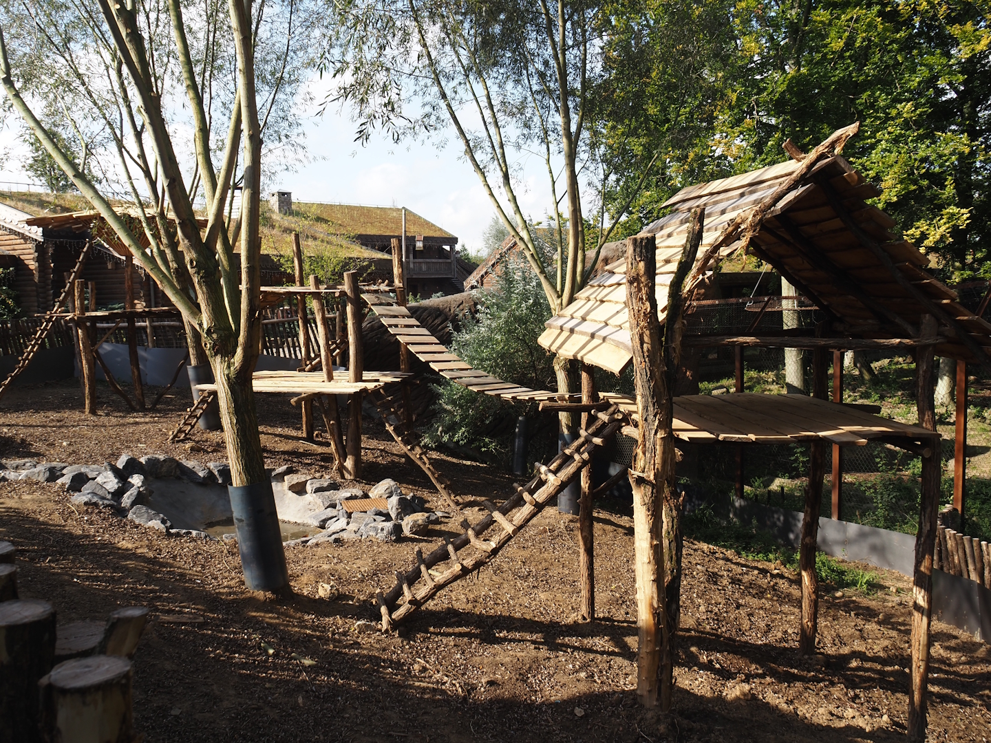 Future raccoon and otter exhibit built on split-off section of the reindeer exhibit, 2024-09-17