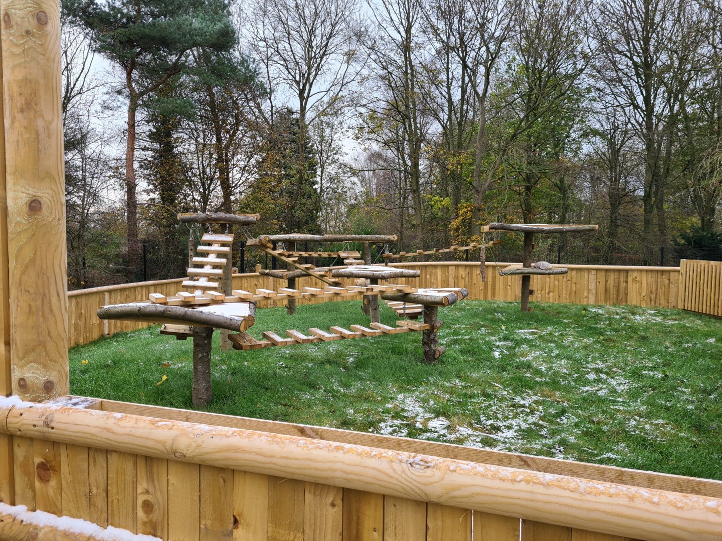Future Racoon Exhibit, Askham Bryan Wildlife Park