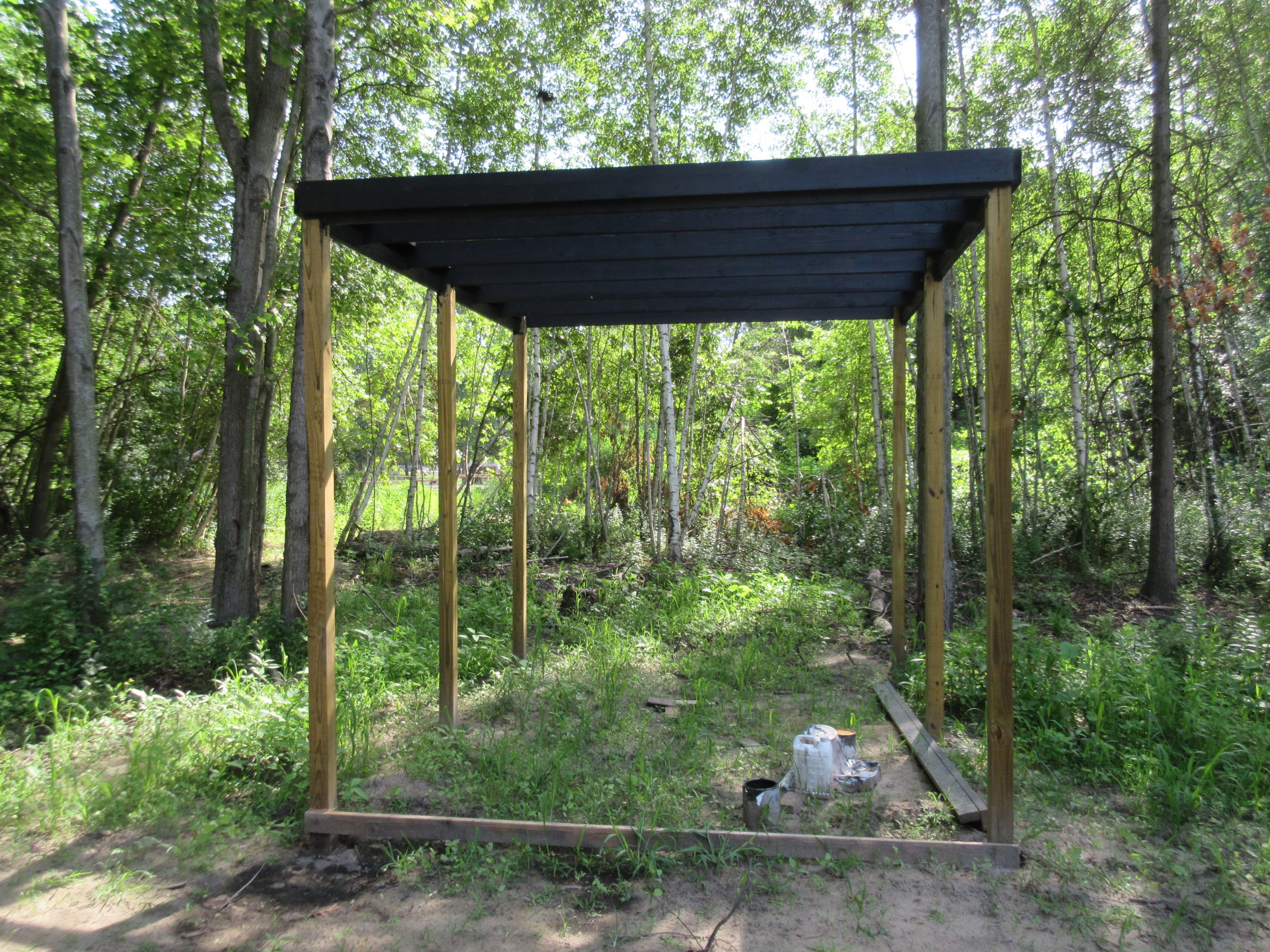 Future Raptor Aviary