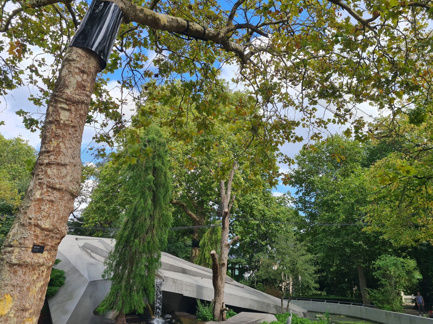 Future Red panda climbing structures over visitors