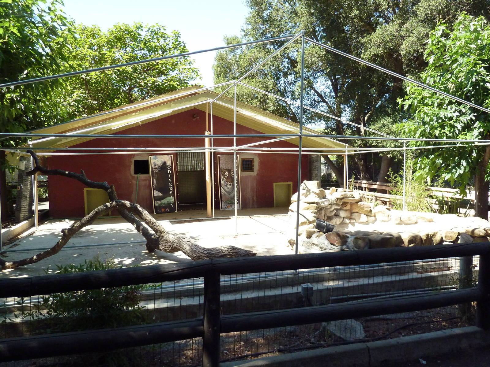 Future Red Panda Exhibit