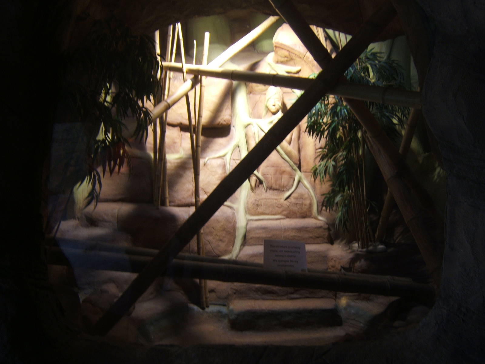 Future reptile exhibit