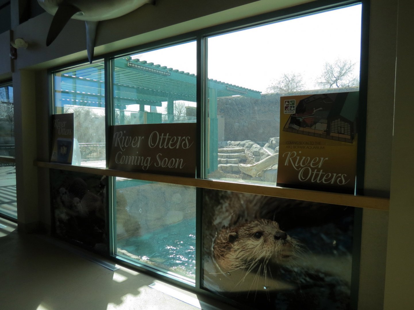 Future River Otter Exhibit
