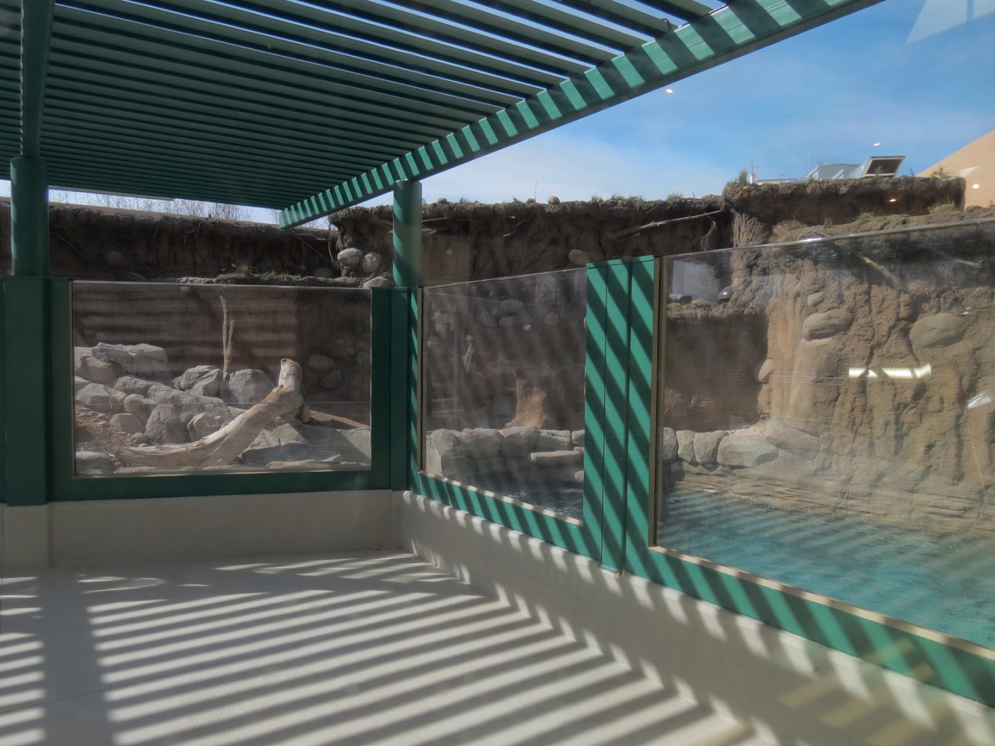 Future River Otter Exhibit