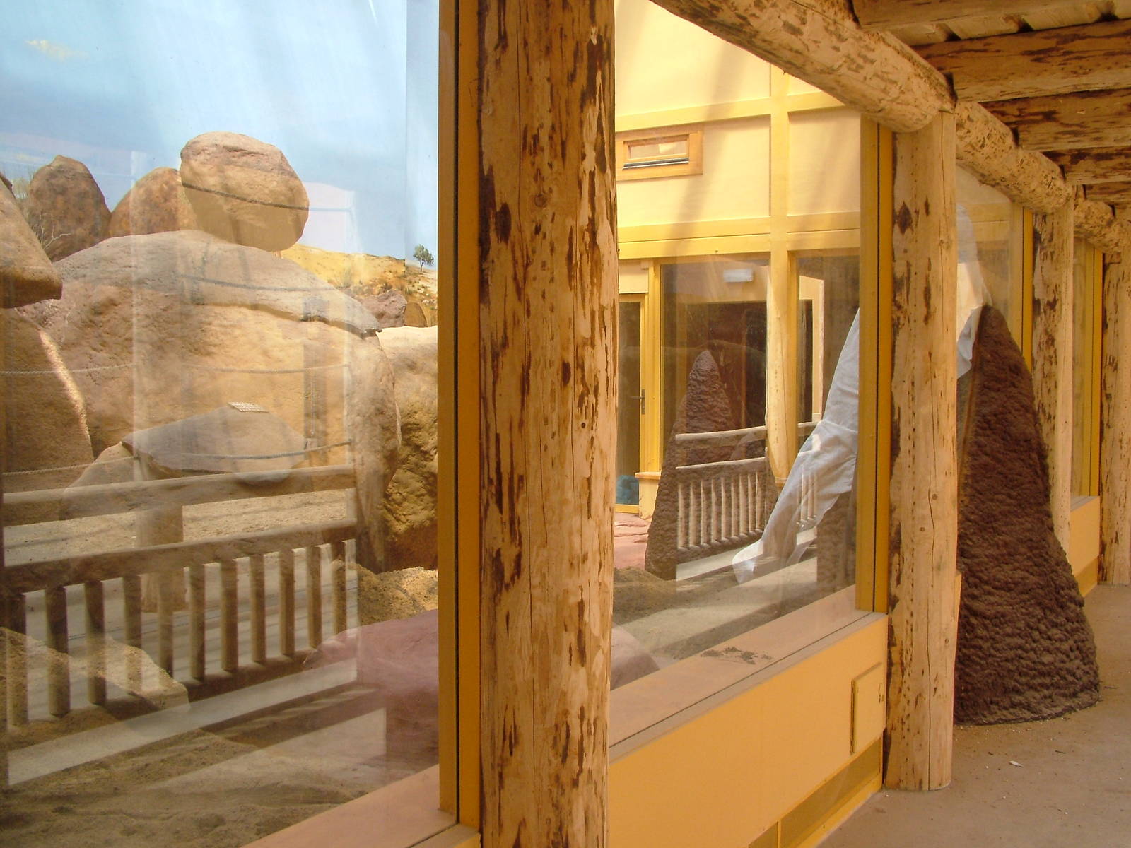 Future Rock Hyrax exhibit in Giraffe House at Plzen, 25/05/10