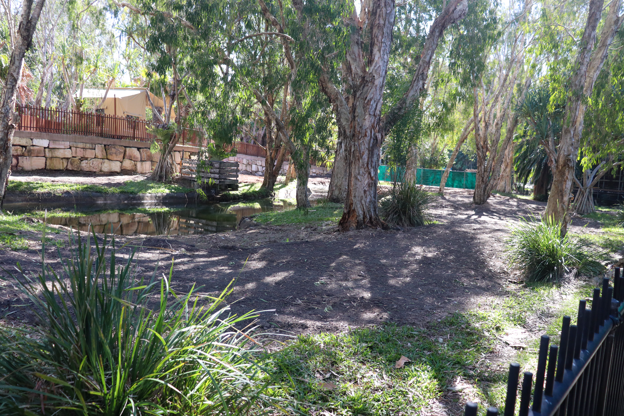 Future Saltwater Crocodile Enclosure - Crocodile Environmental Park