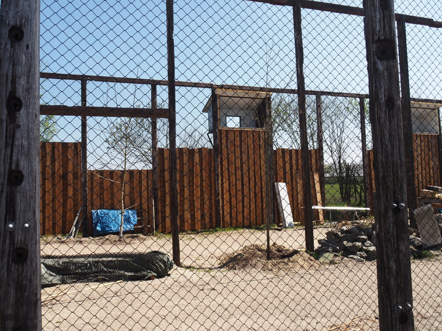 Future scavenger aviary construction, 2025-04-12