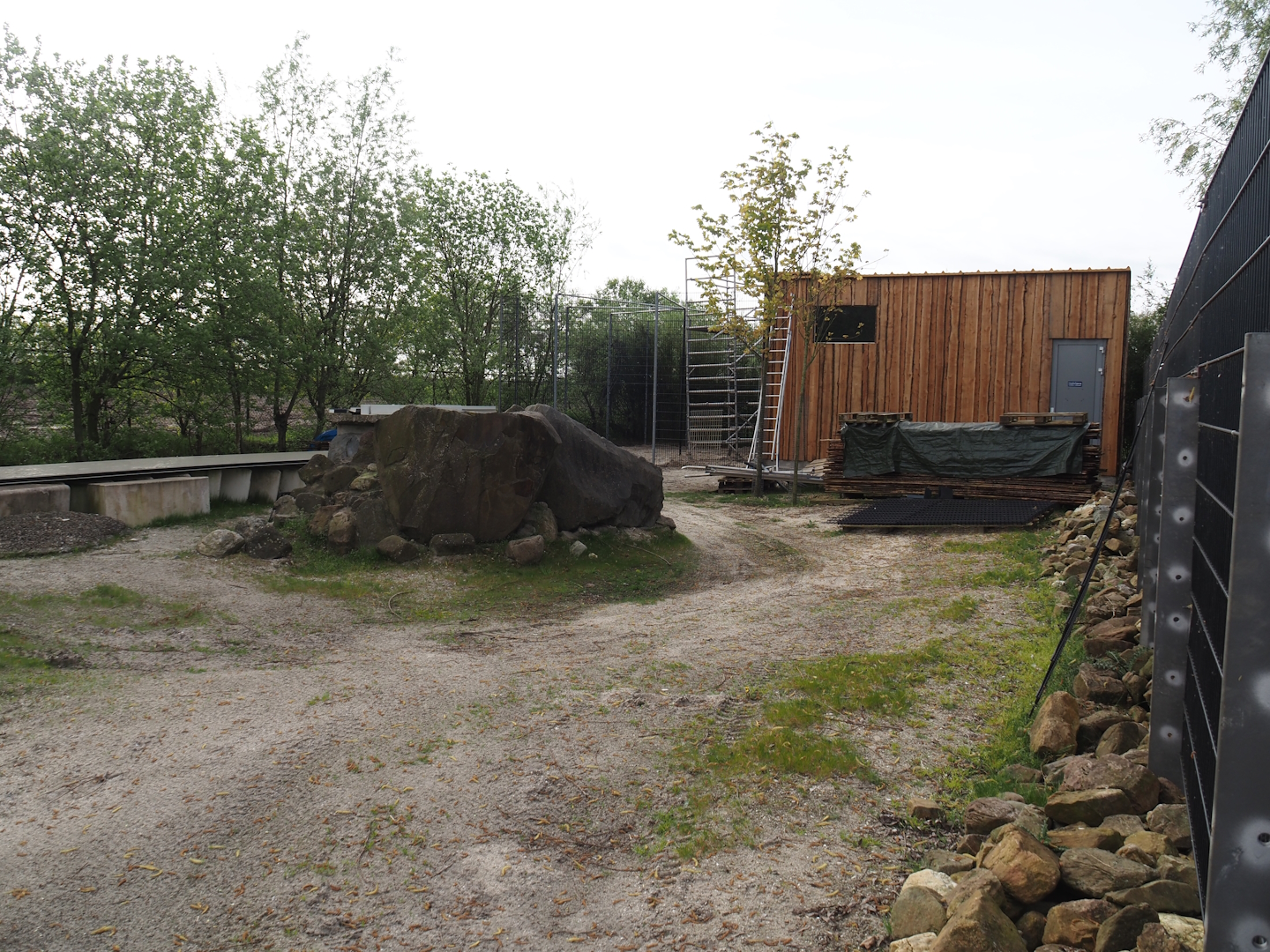 Future scavenger aviary construction site, 2024-04-14