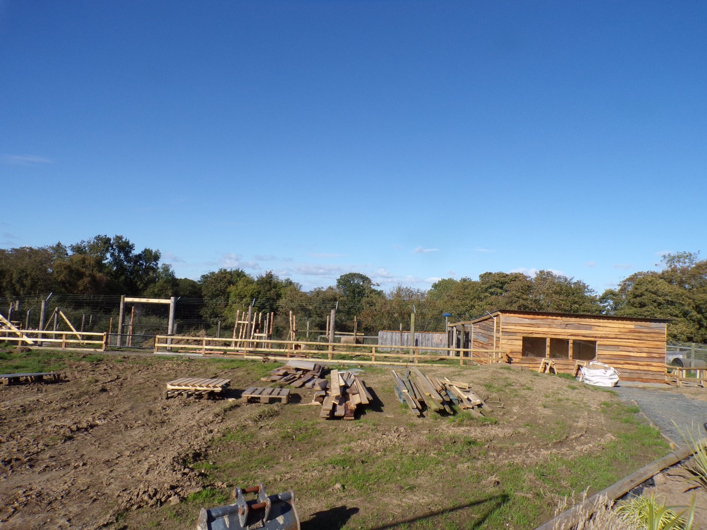 Future serval enclosure construction 14.10.23