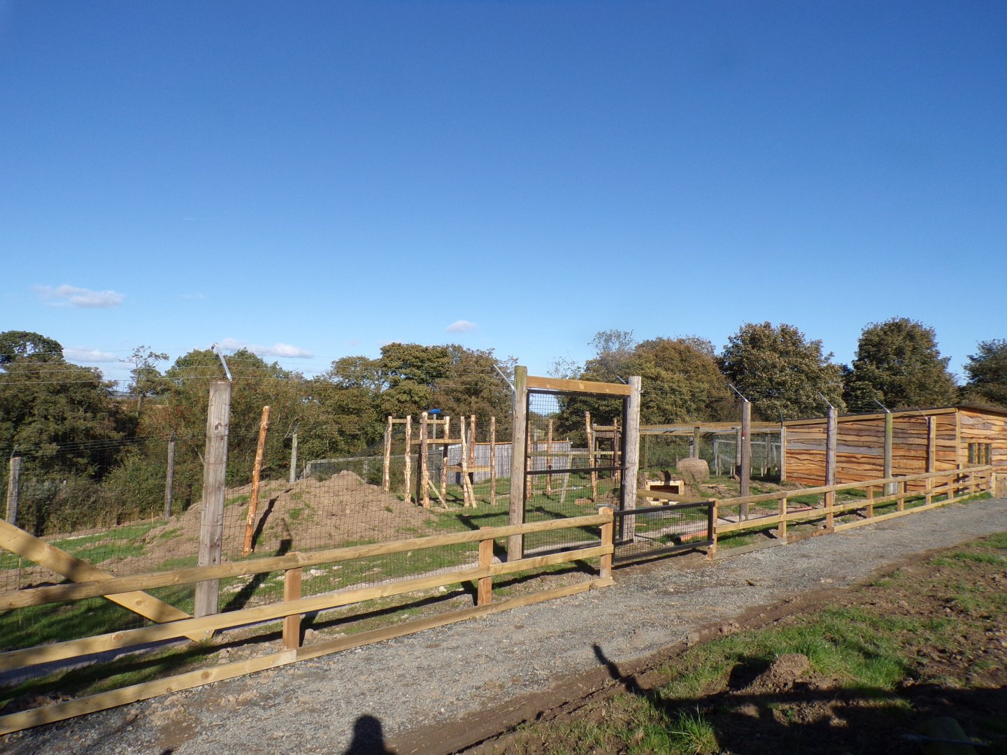 Future serval enclosure construction 14.10.23