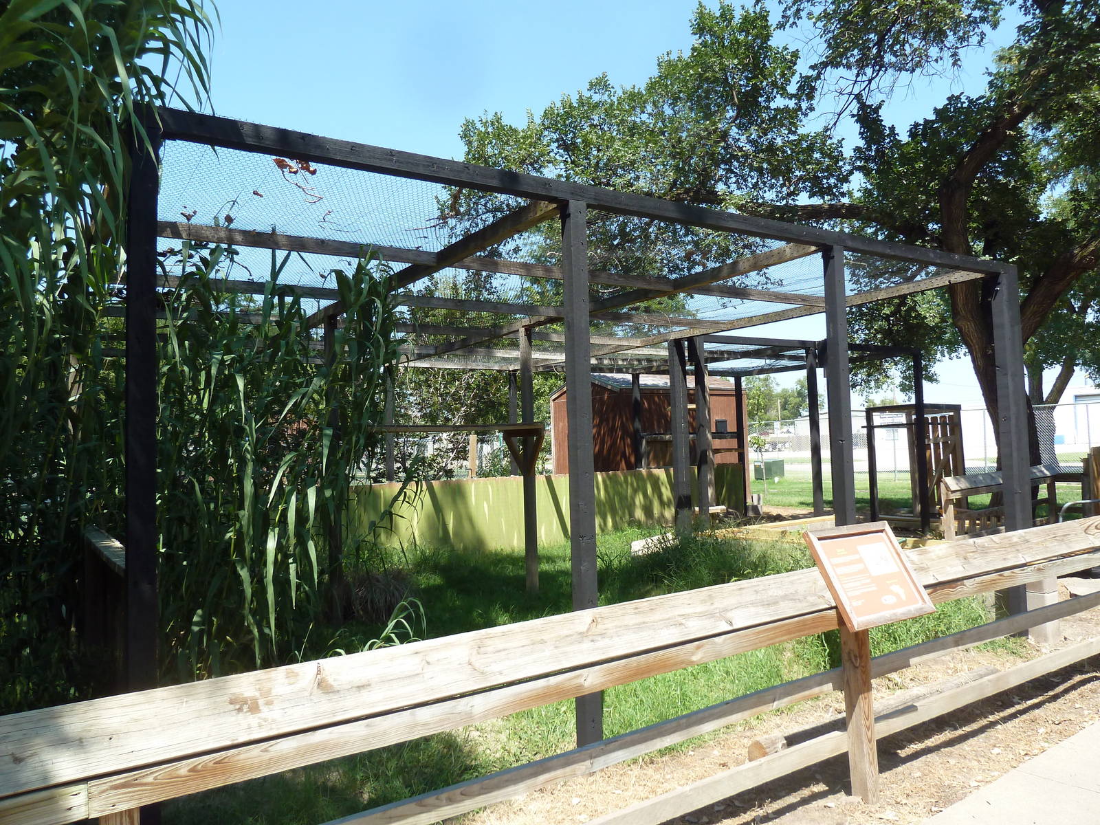 Future Serval Exhibit