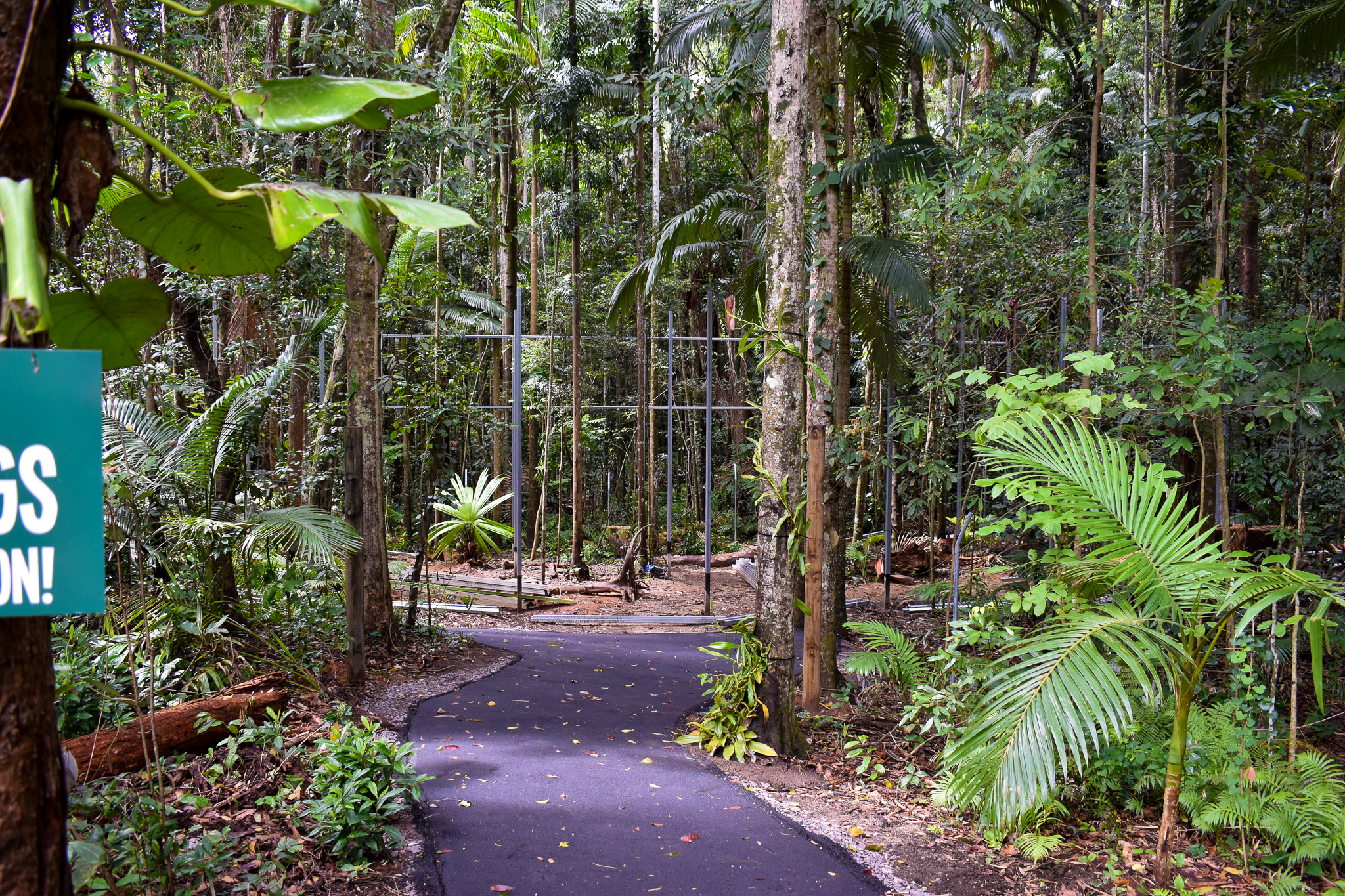 Future Siamang Enclosure