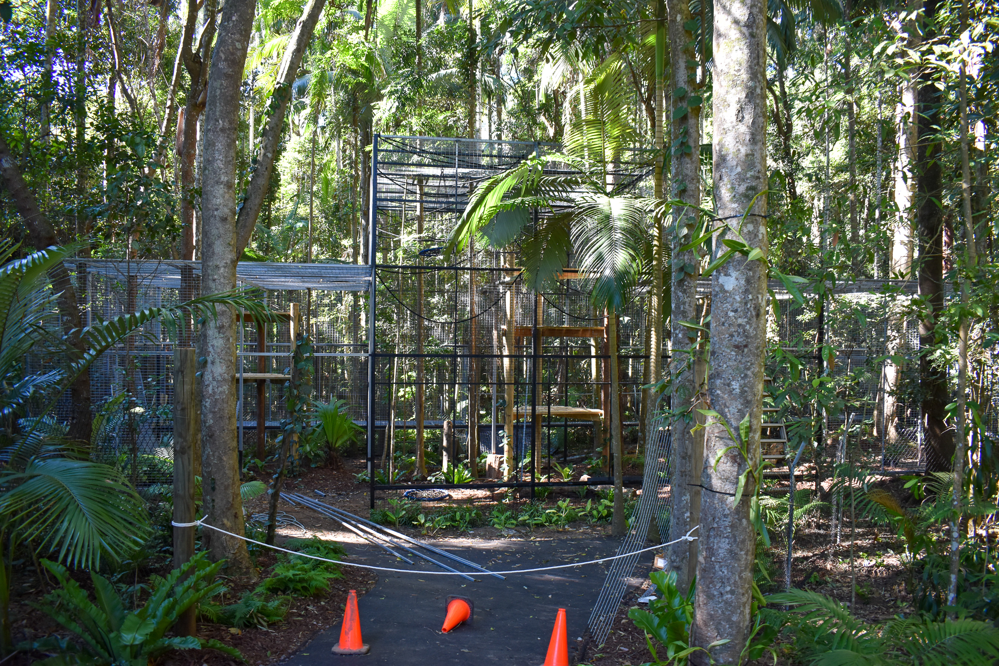 Future Siamang Enclosure