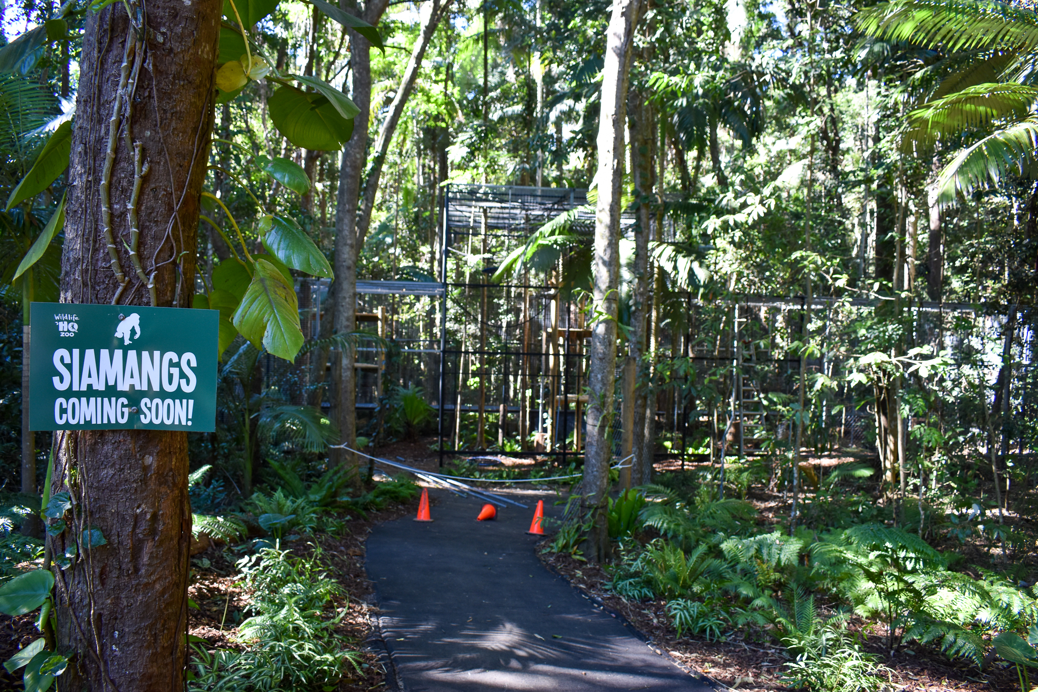 Future Siamang Enclosure