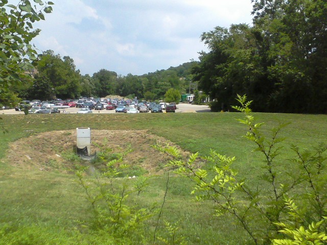 Future Sight of African Savannah