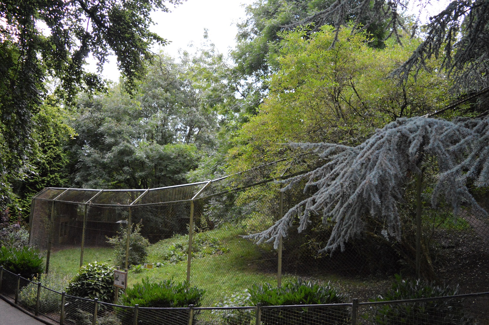 Future site of new orang enclosure