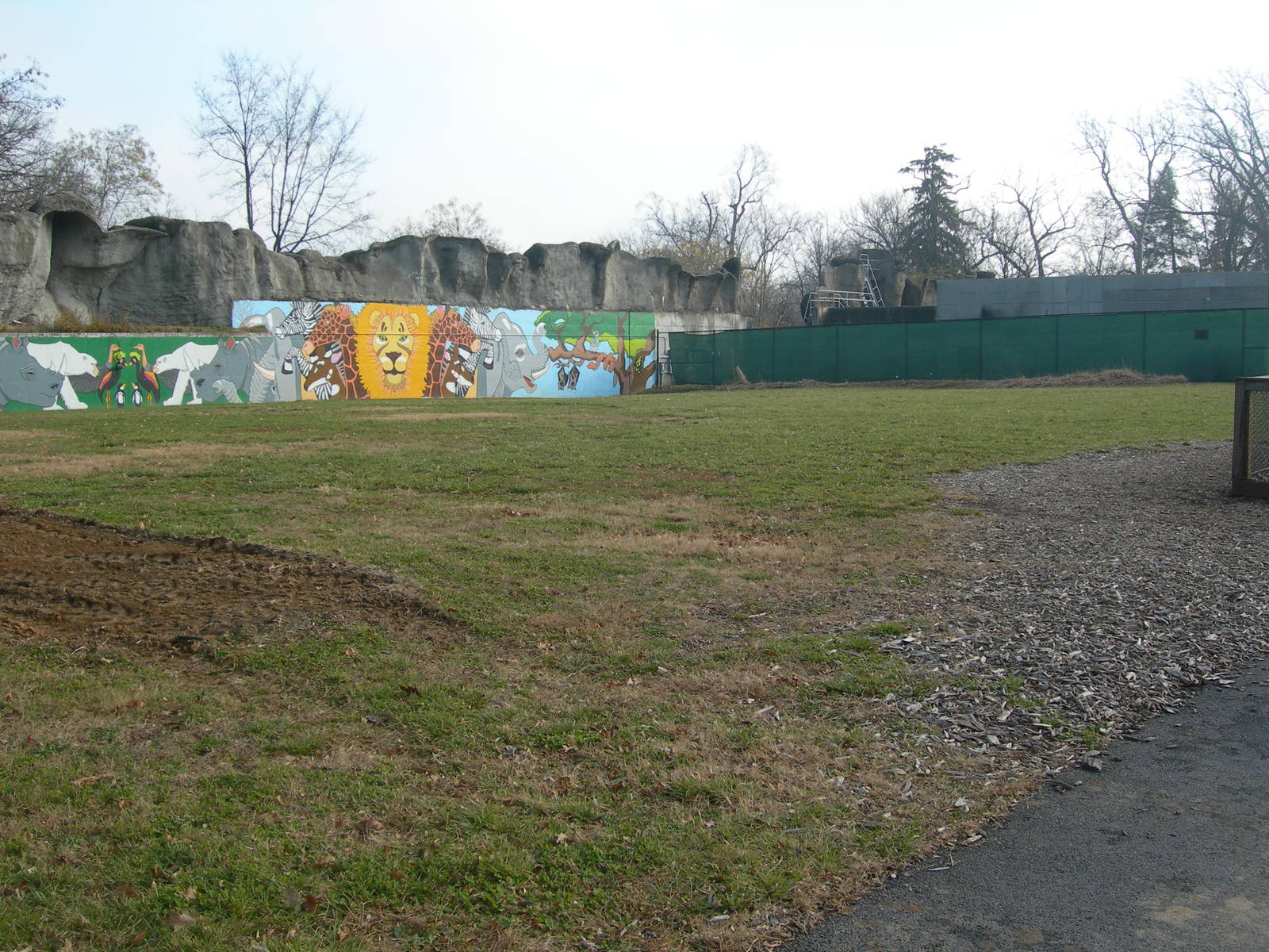 Future site of the new penguin exhibit