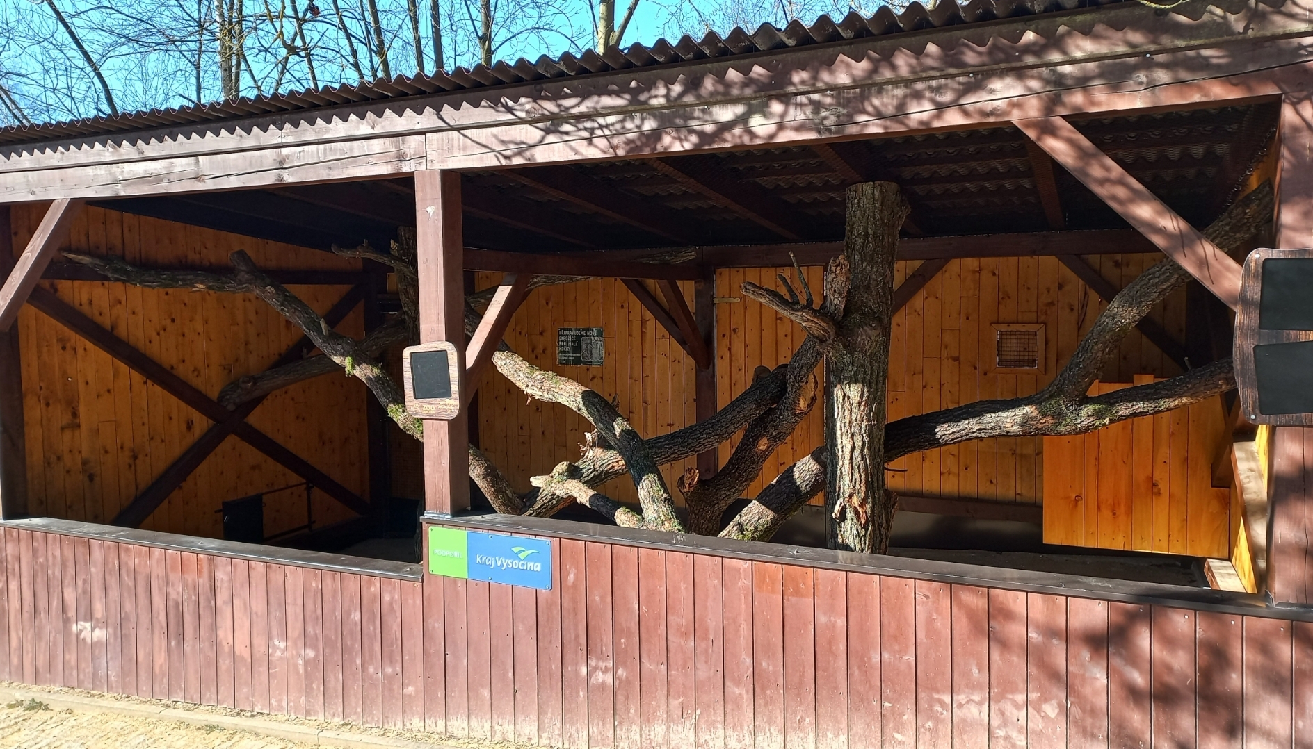 Future small cat exhibit