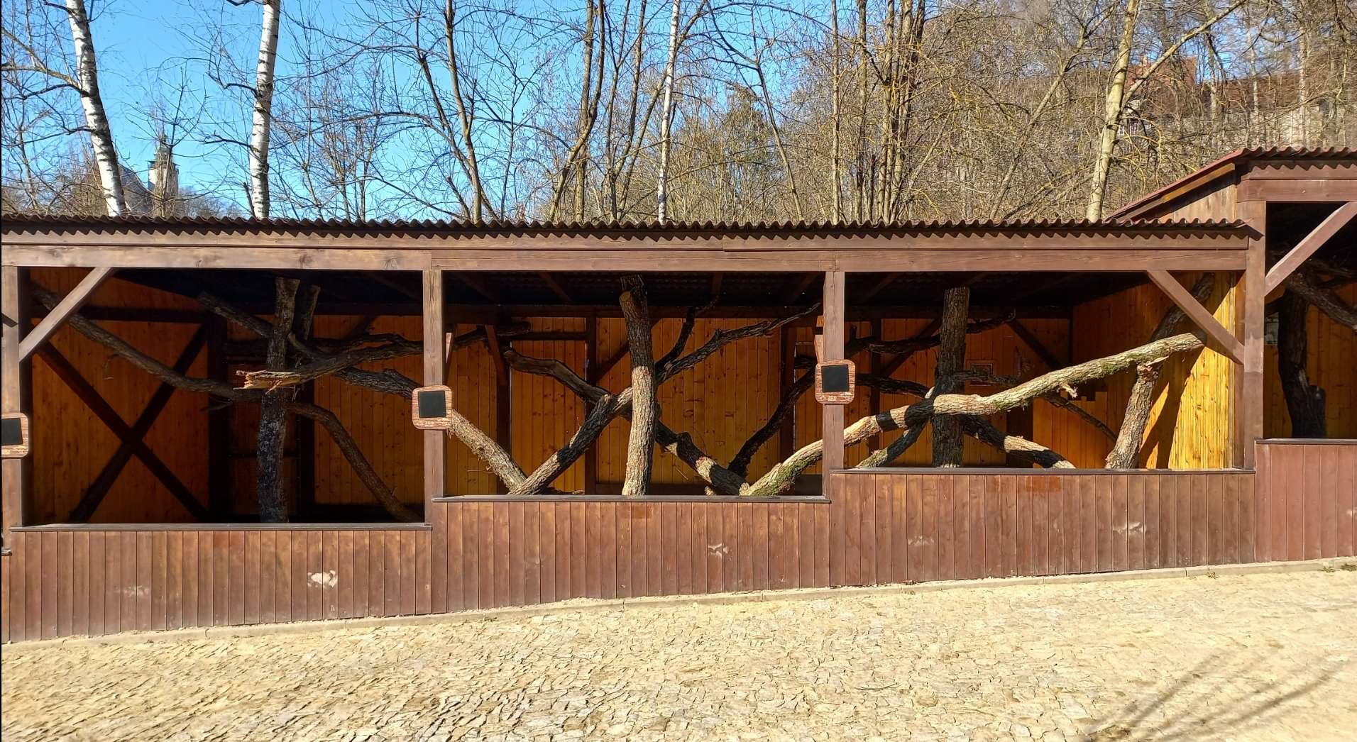 Future small cat exhibit