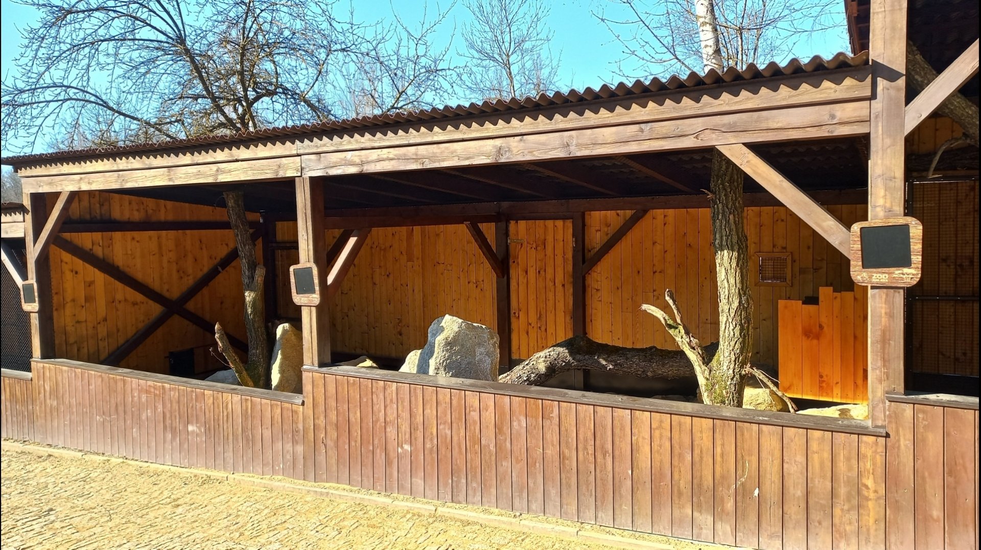 Future small cat exhibit