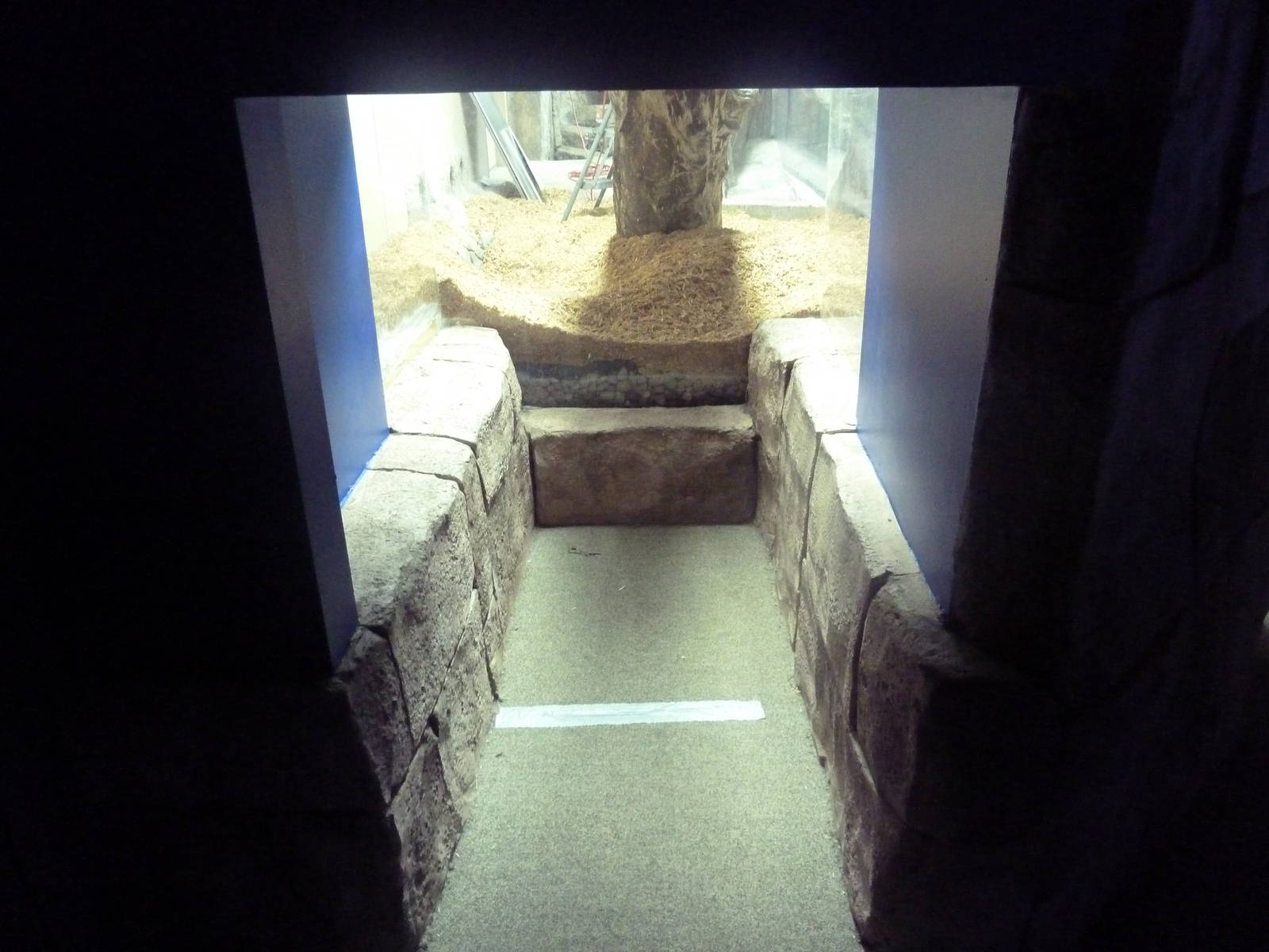 Future Small-Clawed Otter Exhibit (Visitor Section)