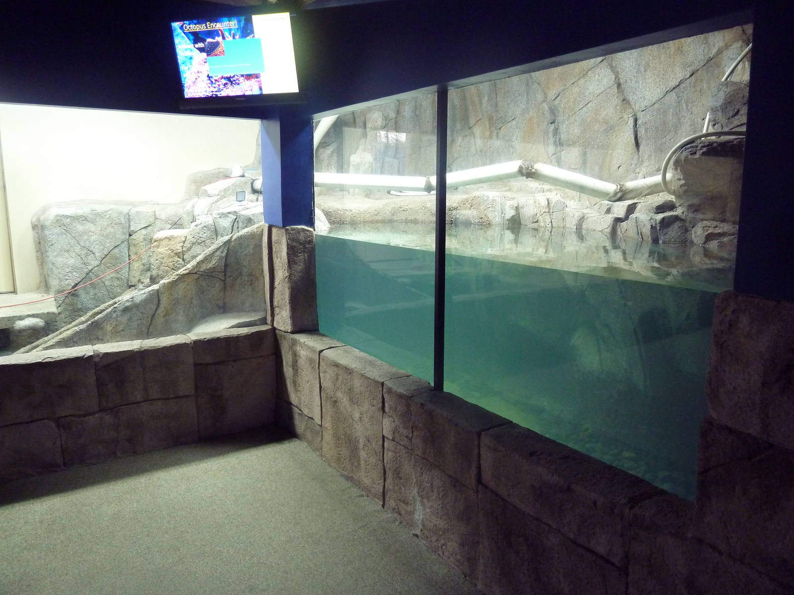 Future Small-Clawed Otter Exhibit