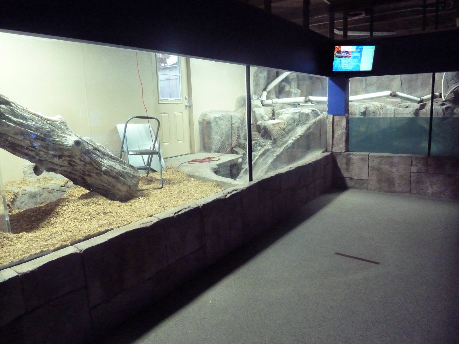 Future Small-Clawed Otter Exhibit
