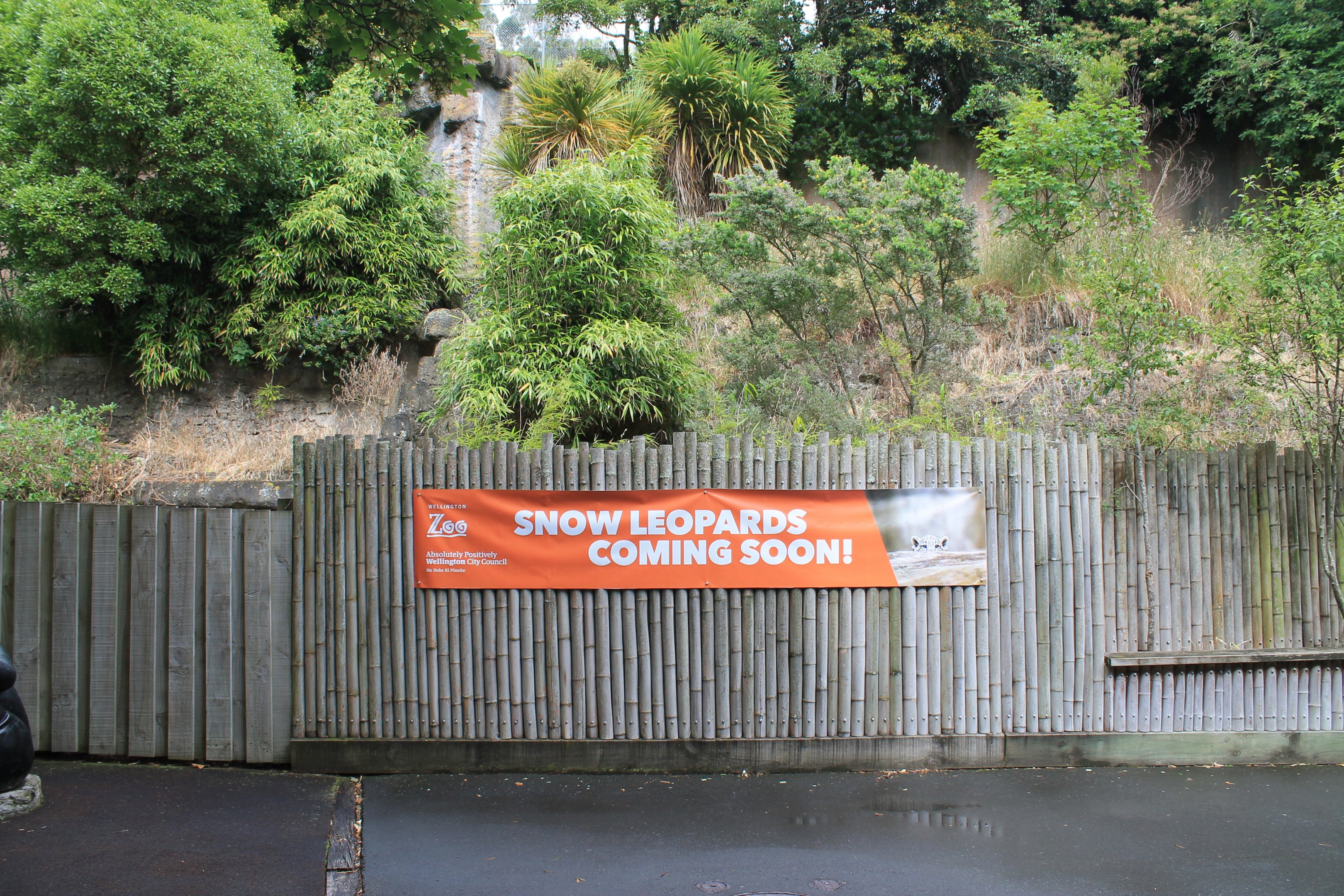 Future Snow Leopard Sign, January 2021