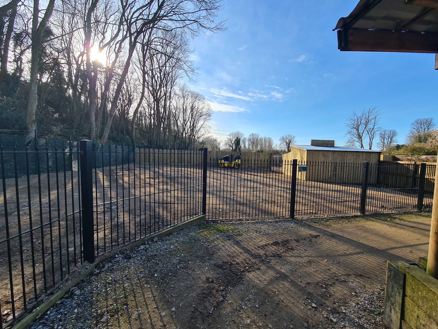 Future Soay Sheep Paddock