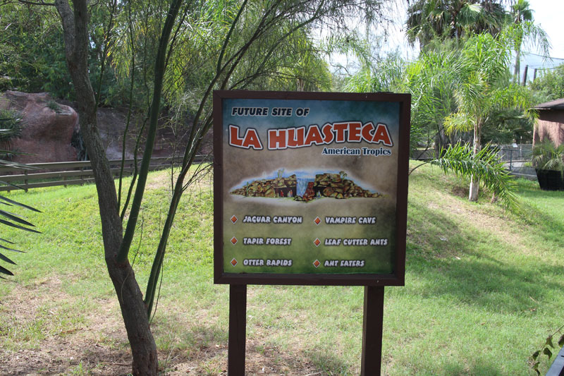 future south america