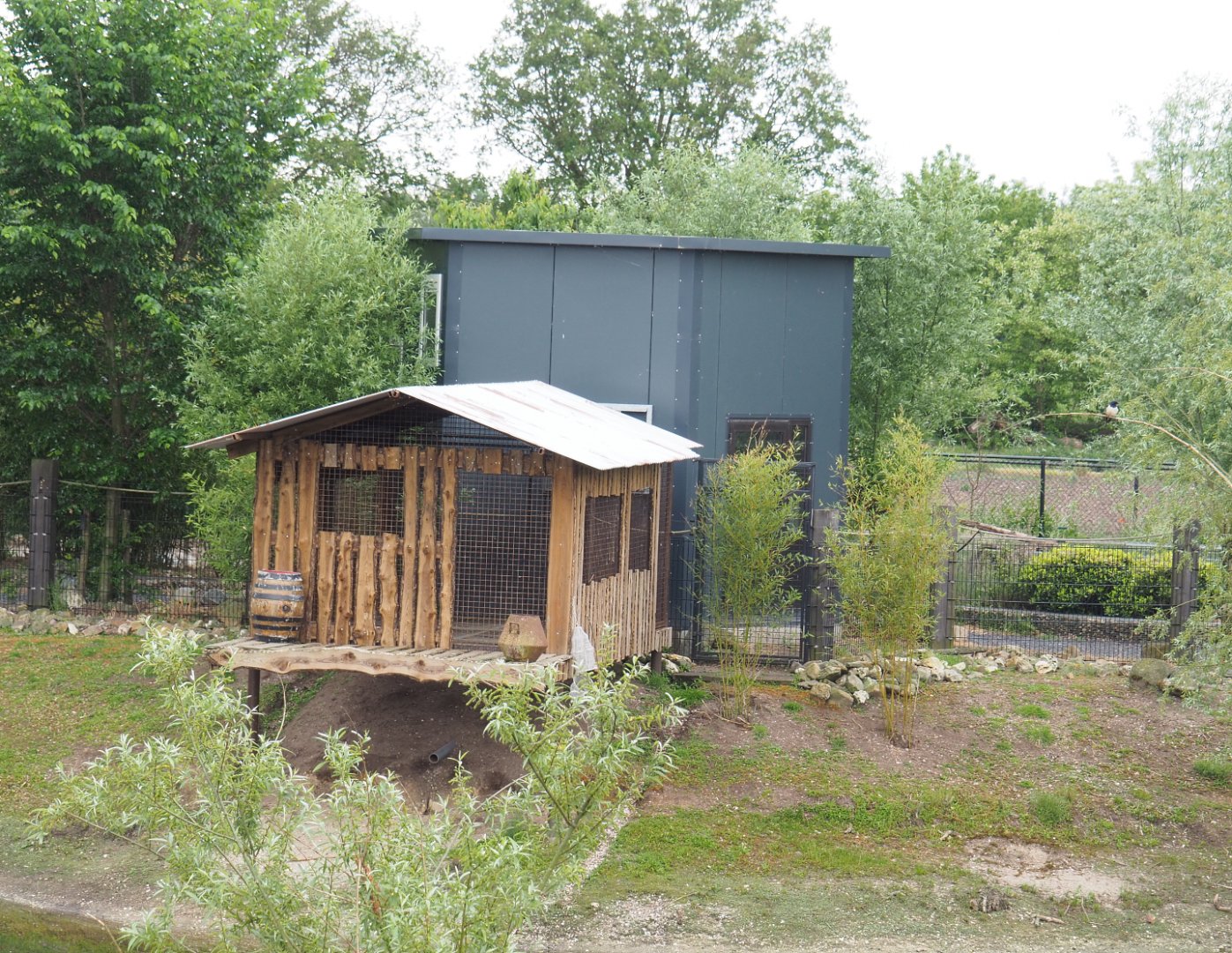 Future spider monkey house and outdoor cage,2022-05-17