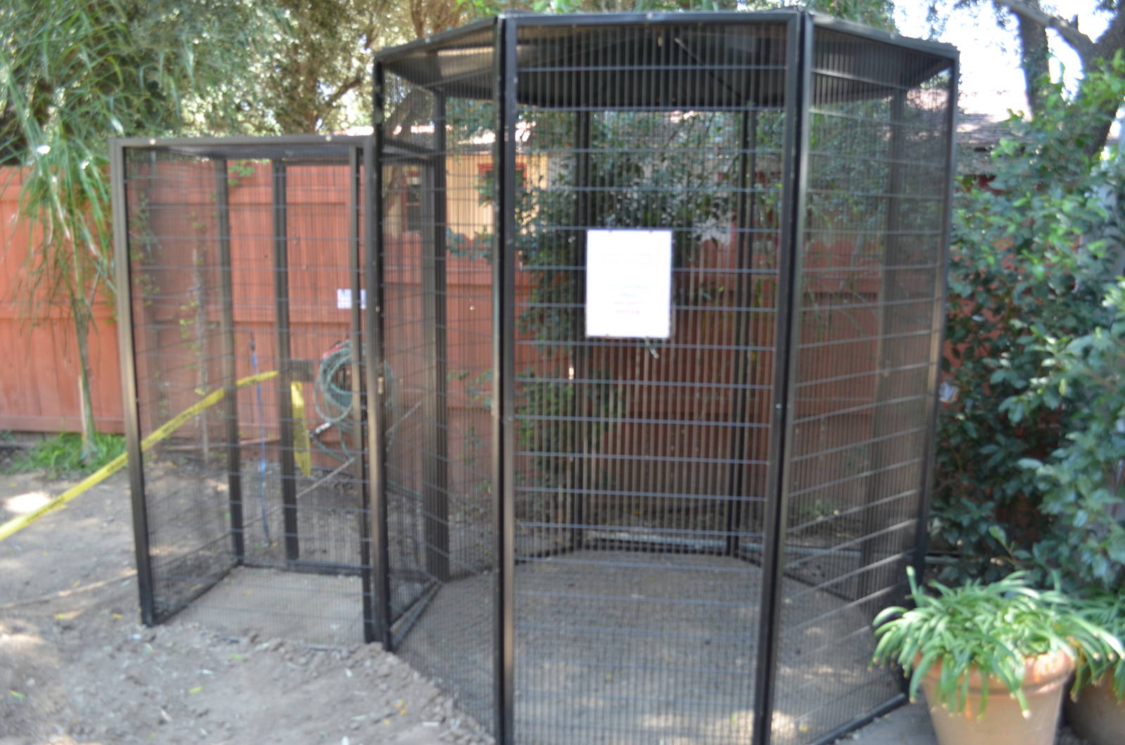 Future Squirrel Enclosure